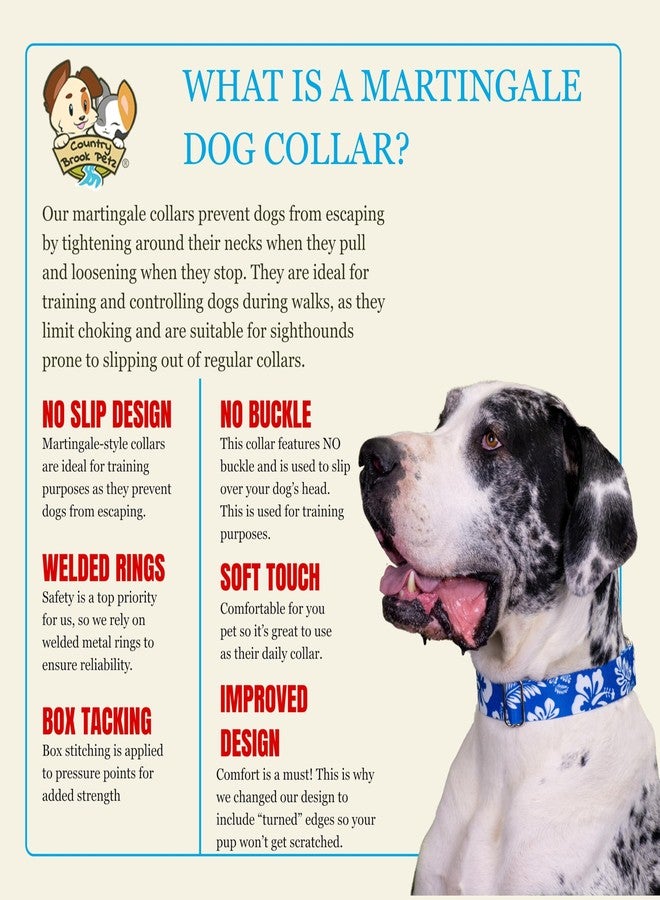 كانتري بروك ديزاين طوق مارتينجال عريض للكلاب من كونتري بروك بيتز - هوسفيت جونيور - مجموعة نسيم الصيف بتصاميم مشمسة (زهور استوائية، متوسط) - Image 5